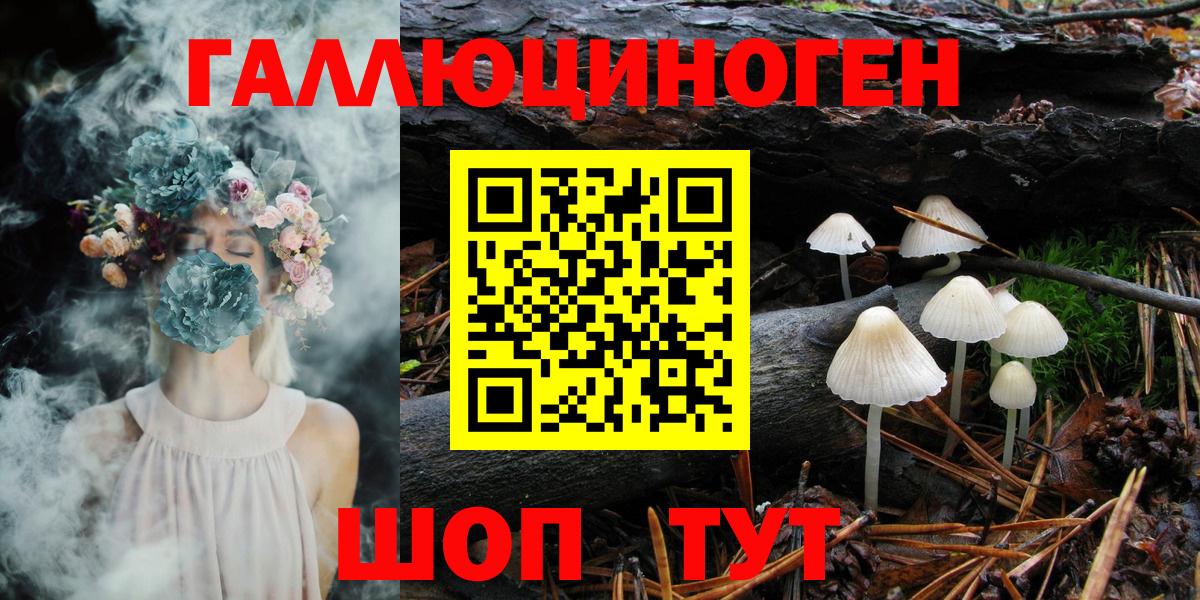 Галлюциногенные грибы Magic Shrooms  Галлюциногенные грибы Magic Shrooms  Дивногорск  Вход с VPN 