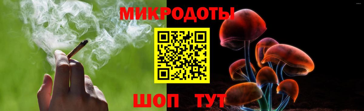 Галлюциногенные грибы Psilocybine cubensis Дивногорск